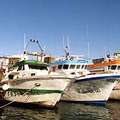 漁船停靠在西班牙Calpe岸邊 照片來源: Miro