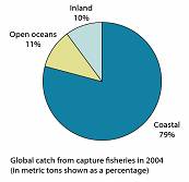 2004年全球漁業地區別捕魚量(單位:百分比)