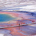 黃石公園的噴泉（圖片來源：NPS）