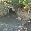 確定砷汙染來自溪水，卻無法理解為何溪水中含有砷