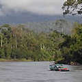 一艘小船划過婆羅州之心 照片來源: WWF