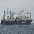 日本捕鯨船日新丸號（圖片來源： Institute of Cetacean Research）