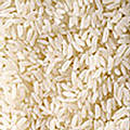 基因改造米（圖片來源：ENS）