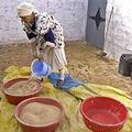 摩洛哥婦女需到數公里外取水來處理牲畜的食物（圖片來源：FAO）