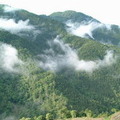 台灣島嶼之所以美麗，有很大的部分是來自於蓊鬱的山林
