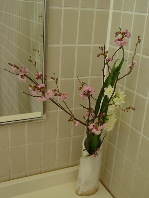 鳥取．花迴廊．廁所洗手台