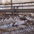 具放射性物質的土壤被堆置於橡樹嶺的囤積場內(照片來源:DOE)