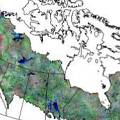 加拿大的森林分佈圖（照片來源：Environment Canada）