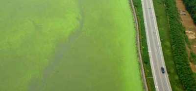 太湖污染(圖片來源：中外對話)