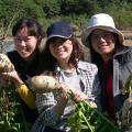 台灣阿布農莊生態工作假期 :: 圖片來源：劉曼儀