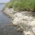 台南二仁溪丟棄的廢鐵塊造成極大污染（吳文龍提供）