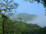 哈盆自然保留區