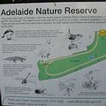 Adelaide自然保留區雖然面積不大，卻生養了許多生物，維護且創造都市裡的生物多樣性。