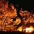火焰將使地球溫度增高。圖為2007年美國加州發生森林火災，消防隊員正與大火奮鬥。圖片來源：ENS