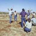 南澳團體組織為當地乾旱的土地推動計畫。圖片來源：DWLBC