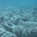 CNN美國佛州的廢輪胎礁；圖片來源：CNN