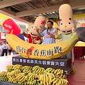 「為香蕉而跑」的登高大賽。圖片來源：陳添寶