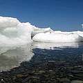 2007 年6月熔化的海冰。(圖片來源： Diana Cardoso)