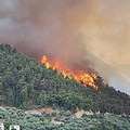 希臘南部慘遭森林大火。(圖片來源：ENS)