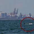 由民間所紀錄，六輕近海、未來要填平的海域的中華白海豚。(圖片來源：陳秉亨)