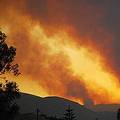 今夏南希臘大火蔓延的狀況。圖片來源：ENS