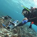 海洋生態學者進行珊瑚礁總體檢2