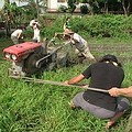 男生共同合力拉著鐵牛車，在泥濘的田地上整地