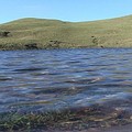 嘉明湖的水質以及周圍土壤已經有重金屬汙染