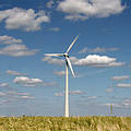 再生能源包括了太陽、風力、水力到生質能。圖為再生能源科技的應用，風力發電。圖片來源：Wikipedia