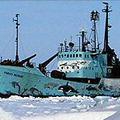 在加拿大註冊的莫瓦號。圖片來源：Sea Shepherd Conservation Society Society