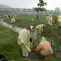 社區一起營造濕地。
