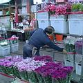 台北花卉拍賣市場