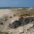 東嶼坪的垃圾掩埋場就在美麗的沙灘上