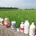 台灣農地單位面積使用的農藥是世界第一，化學肥料則是排名第二