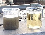 濾出金黃色的水，可以當成灌溉蔬菜的營養液