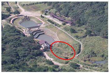 2003年的二子坪空照圖，圈起處已陸化，但仍是台北樹蛙繁殖地點（陽管處提供）