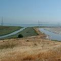 舊金山海灣的一處濕地；圖片來源：Society for Conservation Biology