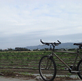 志學農場與腳踏車