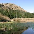 被評選為國家級濕地的台北夢幻湖濕地；圖片提供：荒野保護協會