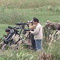 金山清水溼地與鄰近地區的萬里野柳岬，是賞鳥聖地