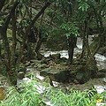 發源自北台灣五指山區的瑪鋉溪，一路獨流，從萬里入海