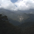 大武山自然保留區是台灣雲豹可能的棲息地。