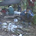 屏科大雲豹調查小組在大武山區進行研究。