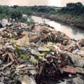工廠廢水、家庭廢水、垃圾、農藥與肥料滲流等，嚴重污染台灣的河川。（圖片來源：行政院農委會特有生物保育中心網站）