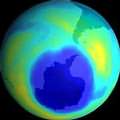 臭氣層有了「破洞」，地球生物受紫外線侵害程度大幅提高。（圖片來源：Environment News Service(ENS)）