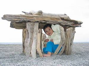 灘地上的漂流木小屋