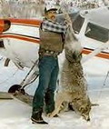 獵人與從飛行器上被獵殺的狼。圖片來源：Wolf