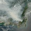 印尼婆羅洲燒林整地產生大量的黑碳。圖片來源：NASA