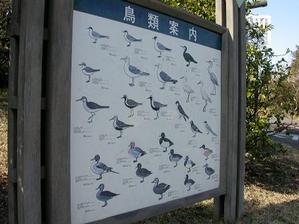 入口處的鳥類解說牌