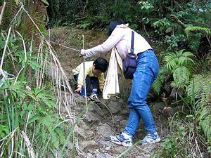 走在下山的路上